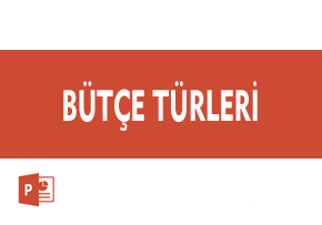 Bütçe Türleri